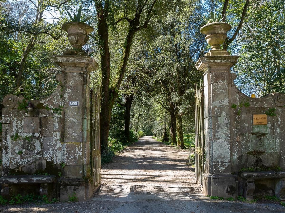 New! La Stanza In Villa Lucca Exteriör bild
